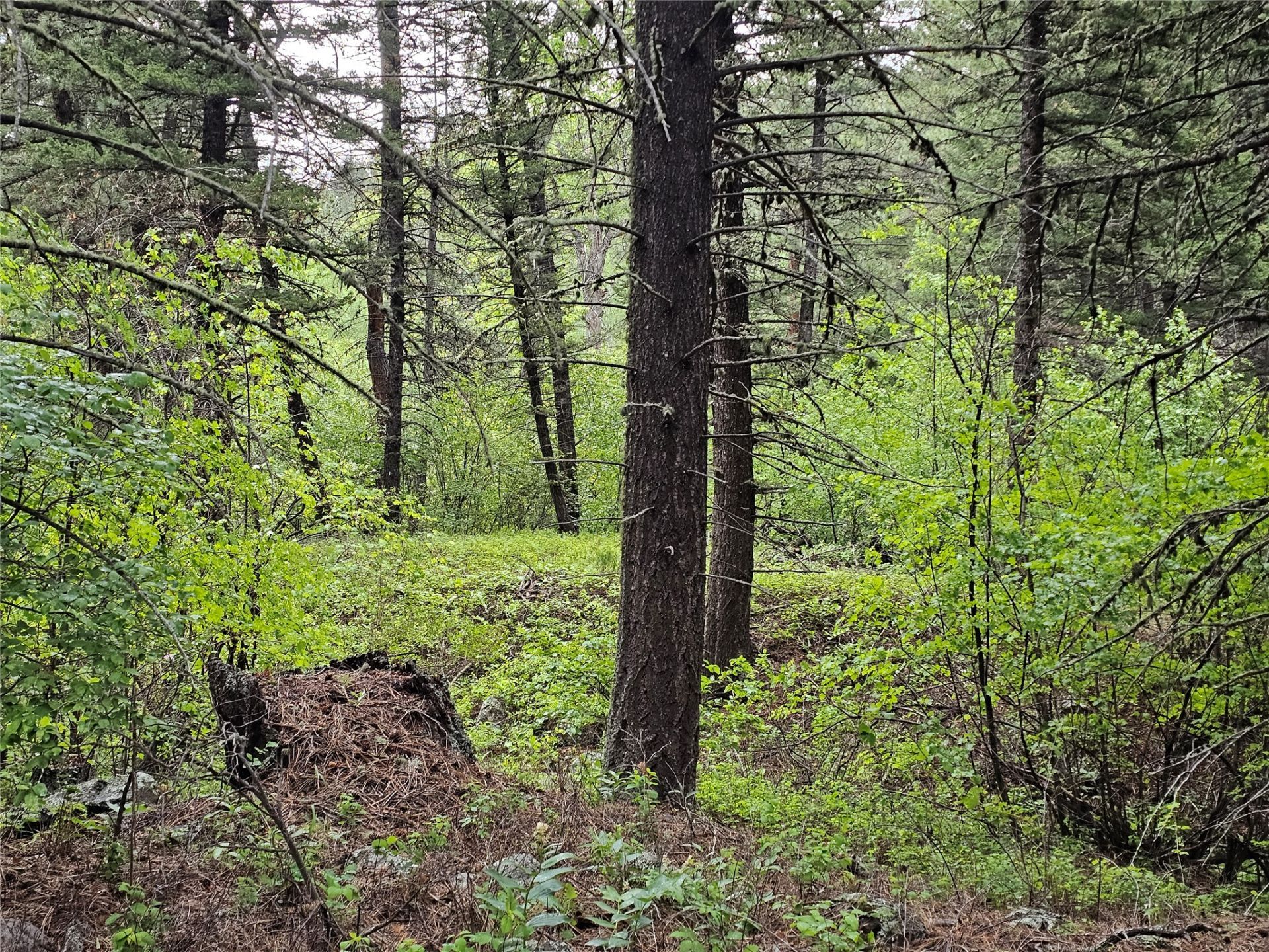 Nhn Upper Sawmill Creek Lane , Cascade, MT 59421 Main Photo