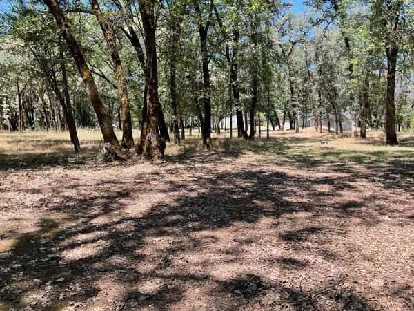 Nevada City, CA 95959