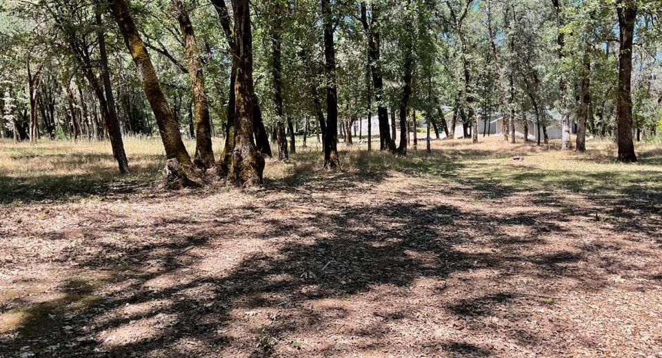Please Call For Address, Nevada City, CA 95959 Photo