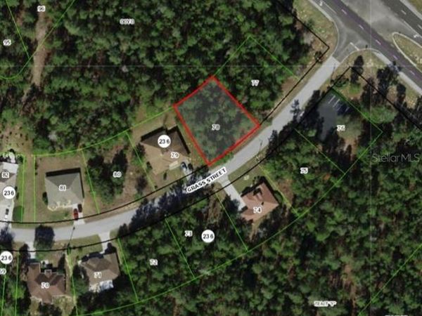 111 GRASS STREET , HOMOSASSA, FL 34446