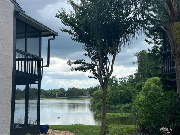16596 BRIGADOON DRIVE , TAMPA, FL 33618