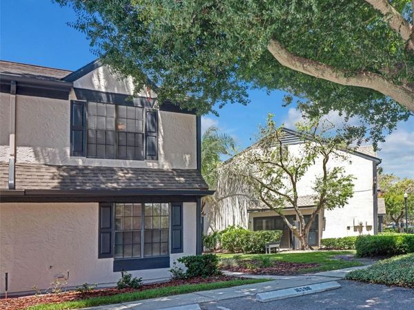 16596 BRIGADOON DRIVE, TAMPA, FL 33618