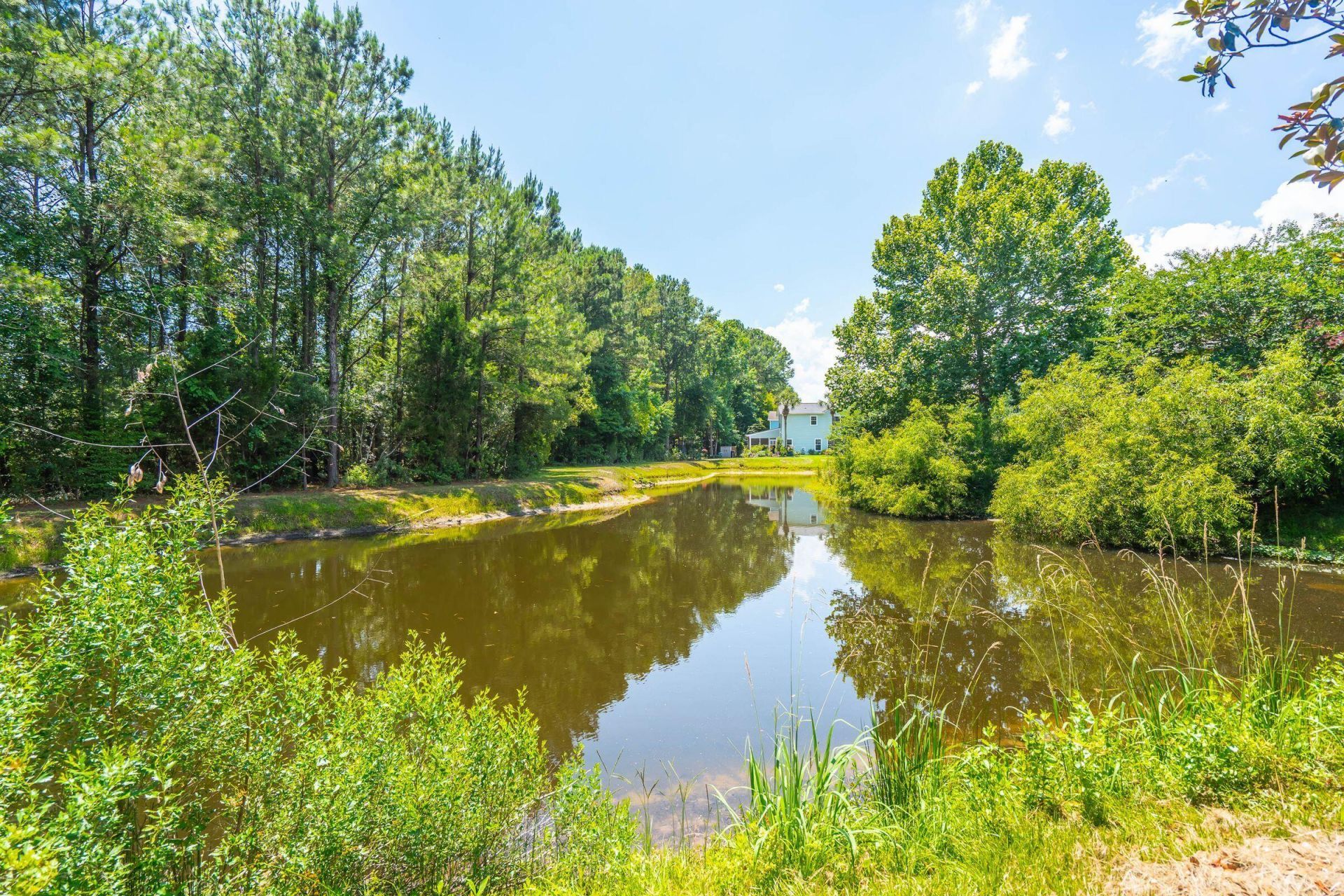 207 Nelliefield Creek Drive Photo 56
