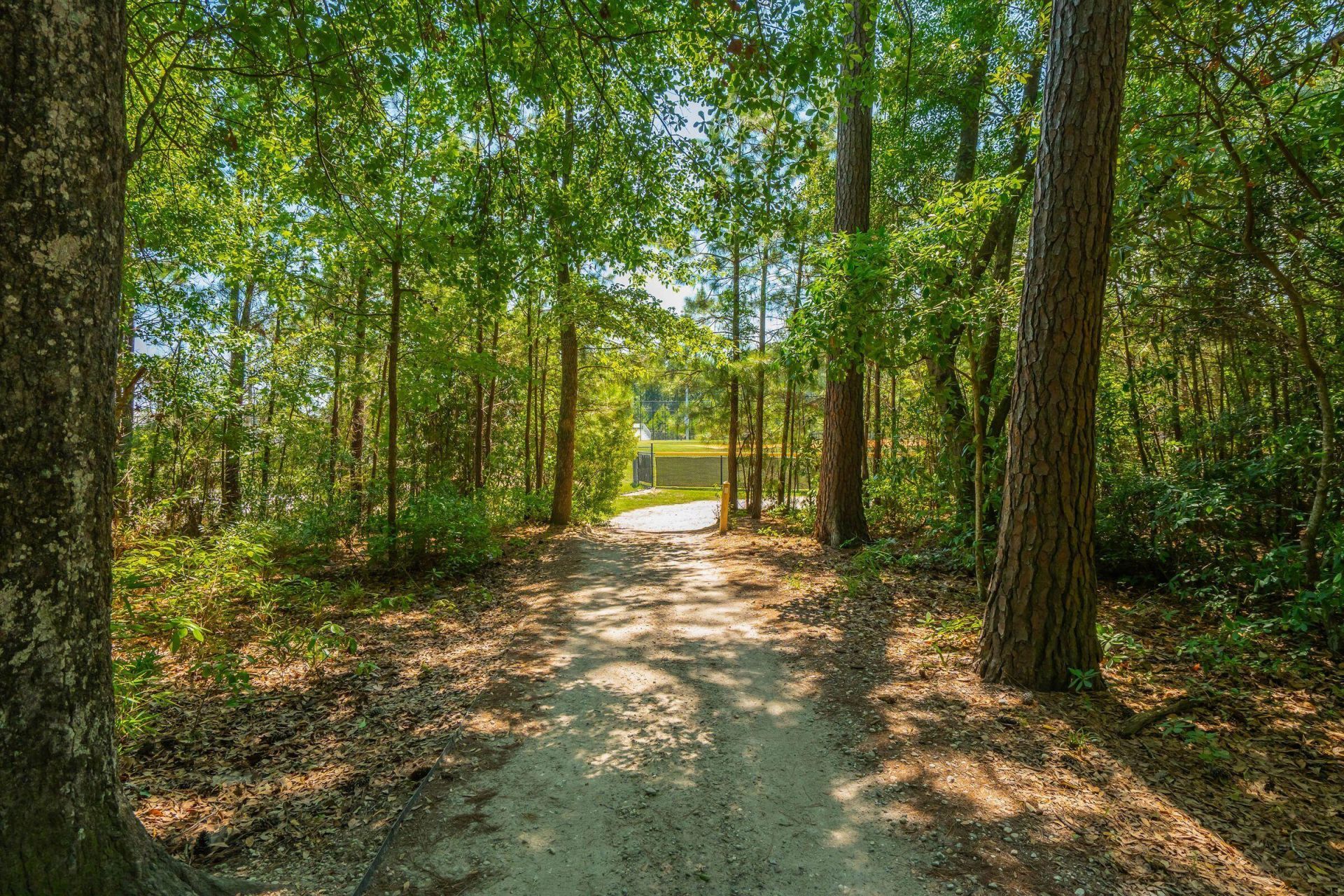 207 Nelliefield Creek Drive Photo 75
