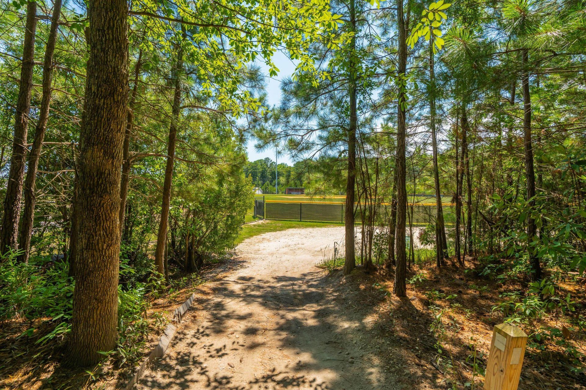 207 Nelliefield Creek Drive Photo 76