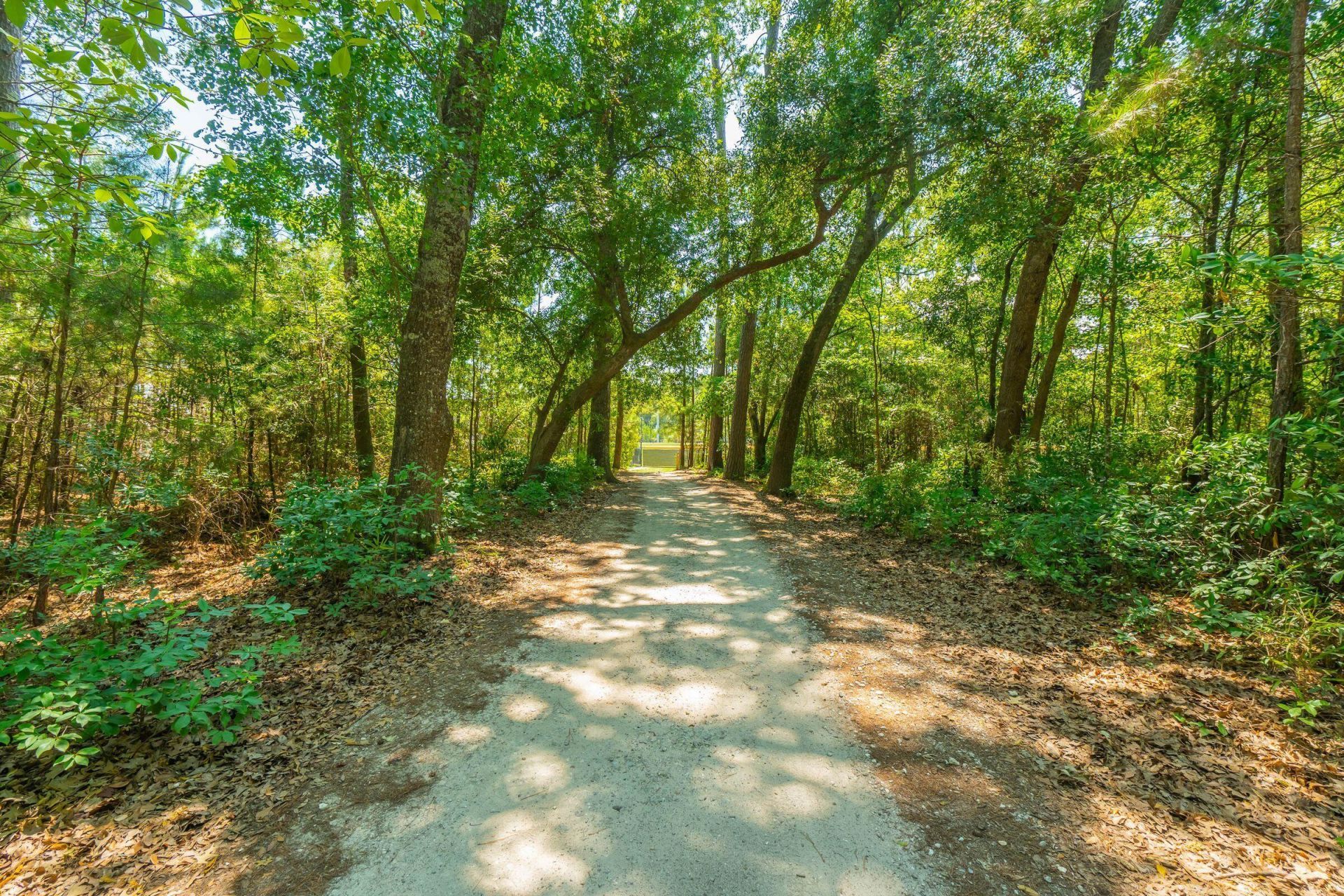 207 Nelliefield Creek Drive Photo 77