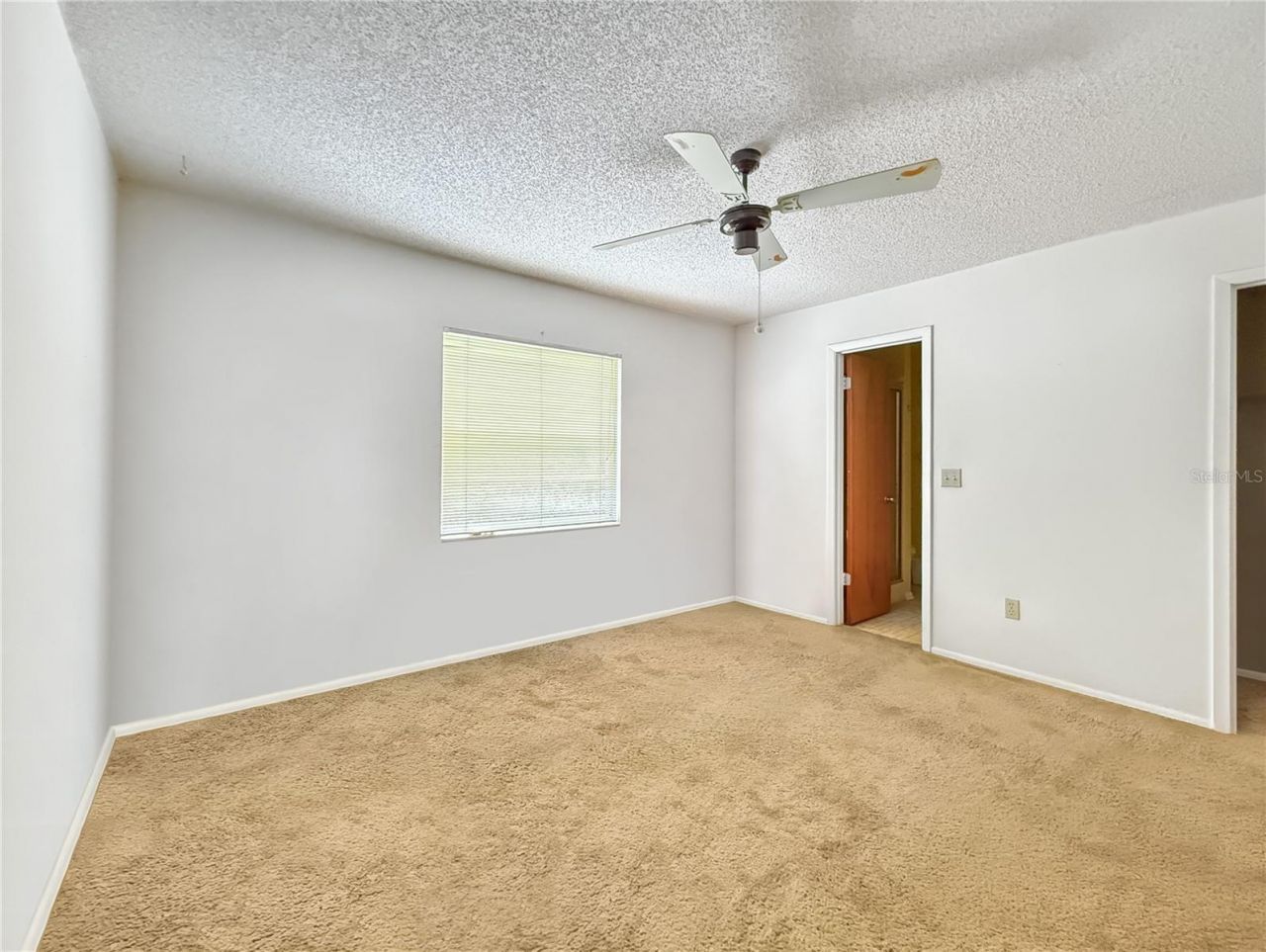 6904 Williams Road, Seffner, FL 33584 Photo
