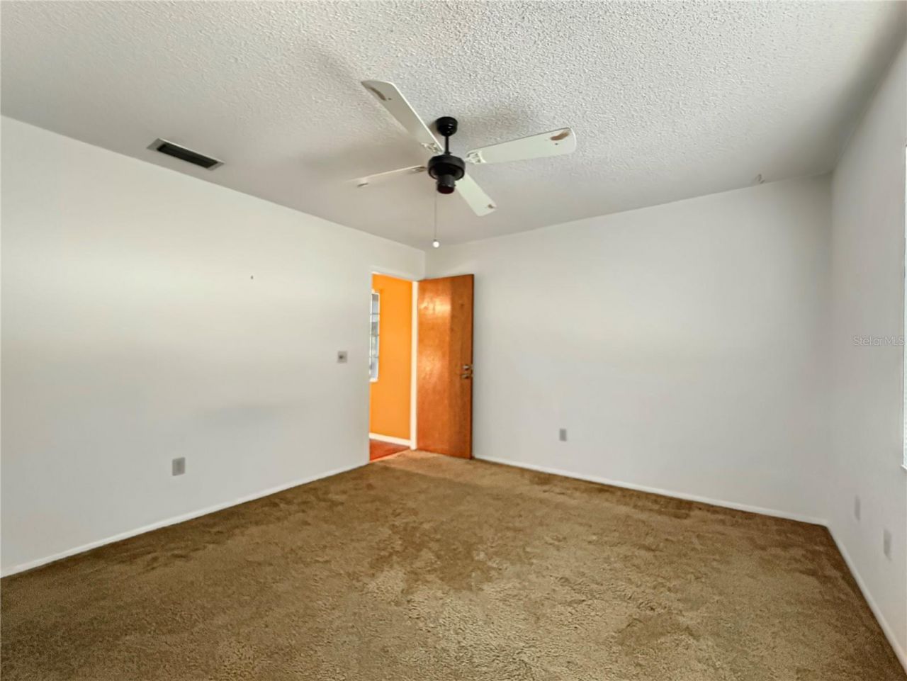6904 Williams Road, Seffner, FL 33584 Photo