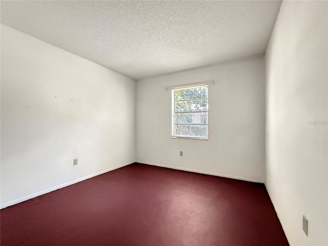 6904 Williams Road, Seffner, FL 33584 Photo