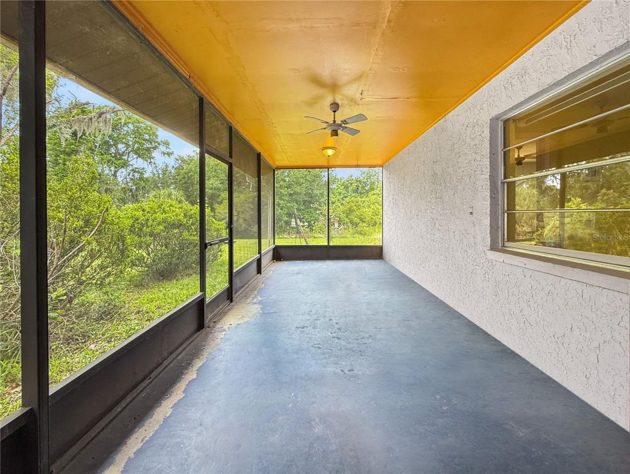 6904 Williams Road, Seffner, FL 33584 Photo