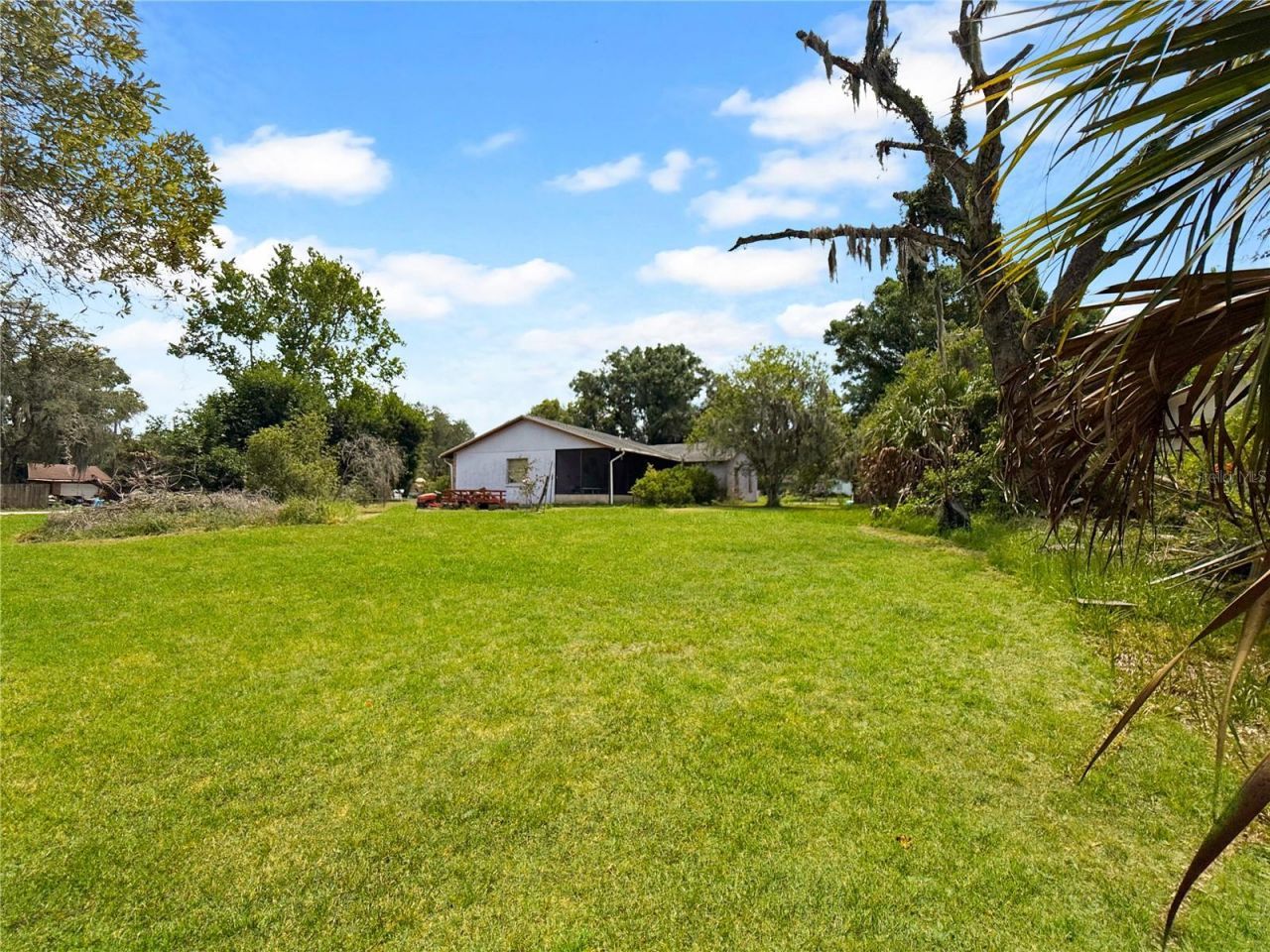 6904 Williams Road, Seffner, FL 33584 Photo
