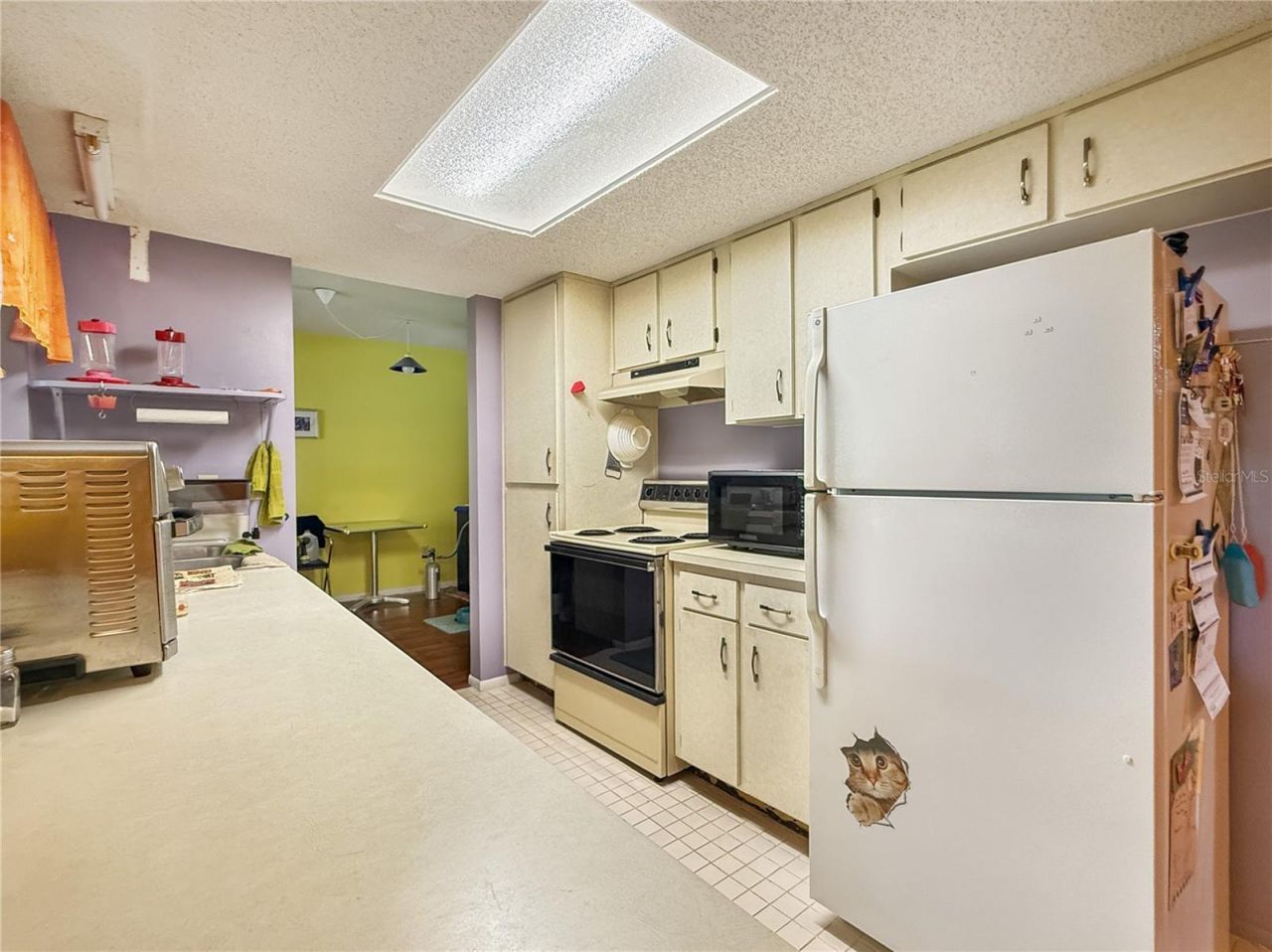 6904 Williams Road, Seffner, FL 33584 Photo
