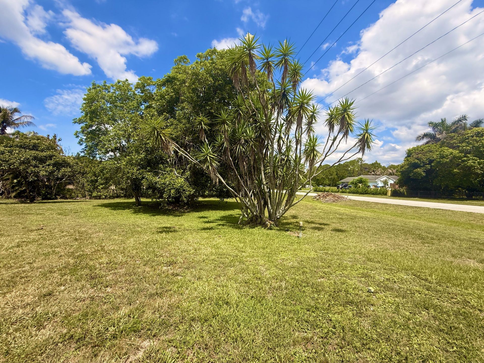 12037 Temple Boulevard, The Acreage, FL 33412 Photo