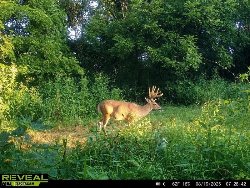Taylor Road, Cambridge, OH 43725 Photo 10