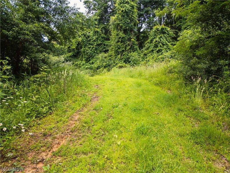 Taylor Road , Cambridge, OH 43725 Photo 12