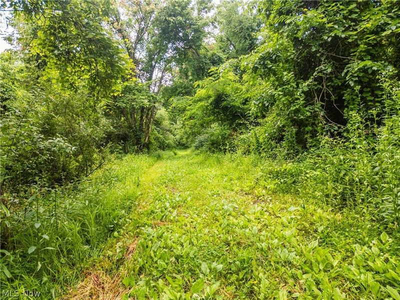 Taylor Road, Cambridge, OH 43725 Photo 13