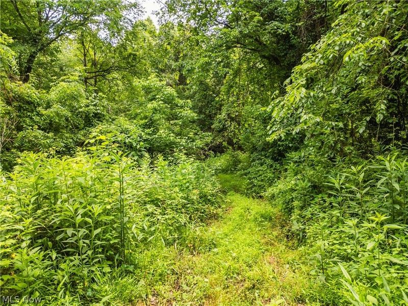 Taylor Road , Cambridge, OH 43725 Photo 14