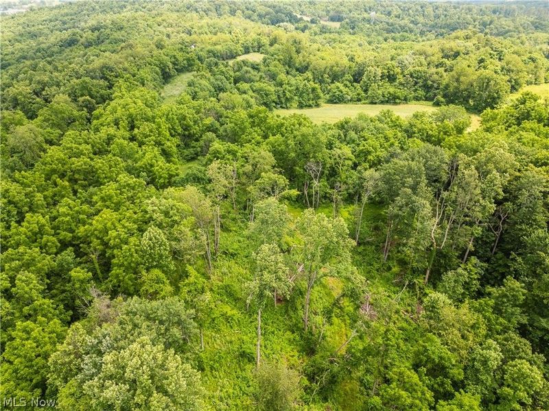 Taylor Road, Cambridge, OH 43725 Photo 21