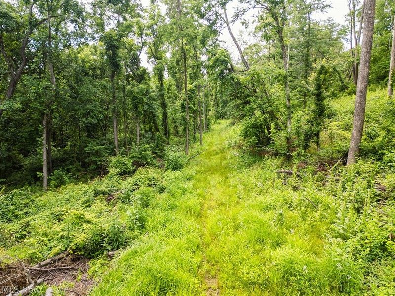 Taylor Road, Cambridge, OH 43725 Photo 24