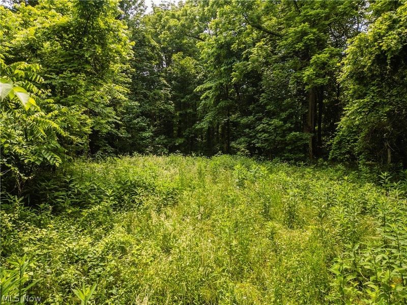 Taylor Road, Cambridge, OH 43725 Photo 27