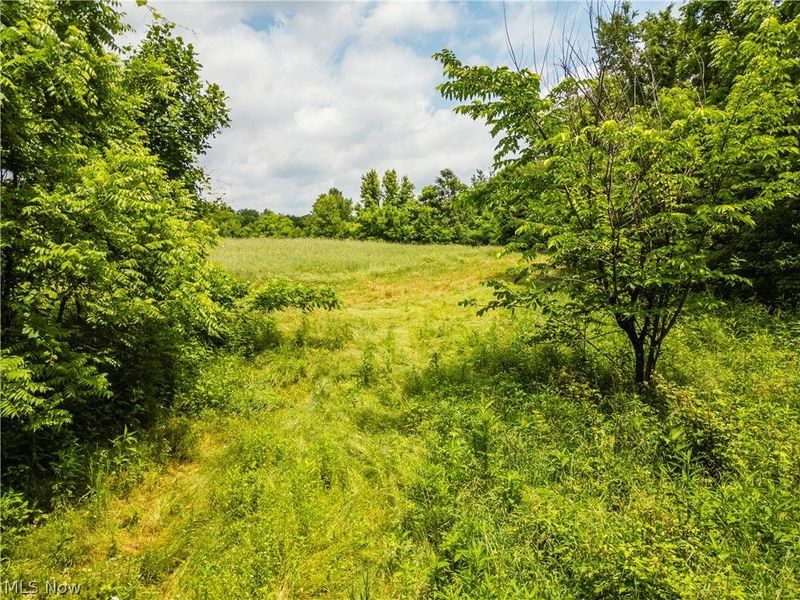 Taylor Road, Cambridge, OH 43725 Photo 28