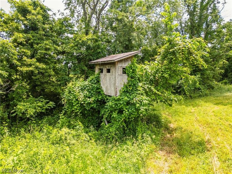 Taylor Road, Cambridge, OH 43725 Photo 32