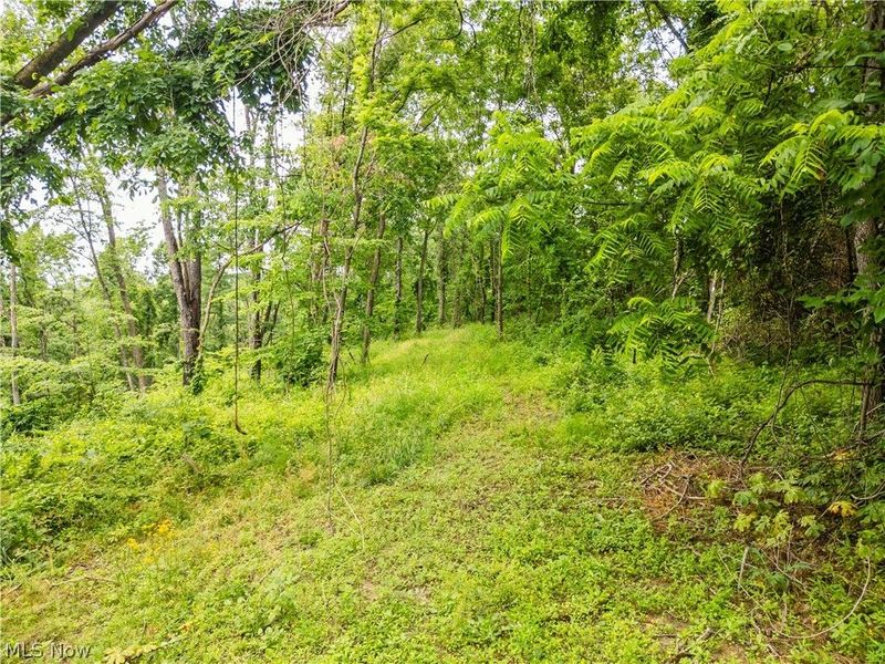 Taylor Road , Cambridge, OH 43725 Photo 34