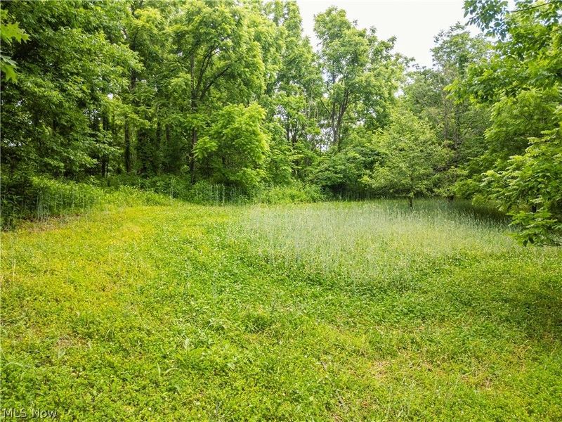 Taylor Road , Cambridge, OH 43725 Photo 35