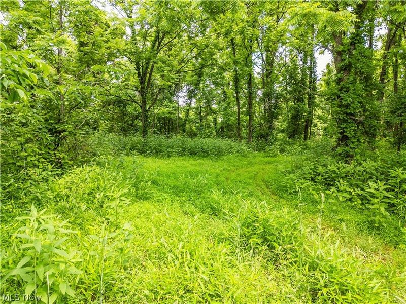 Taylor Road , Cambridge, OH 43725 Photo 36