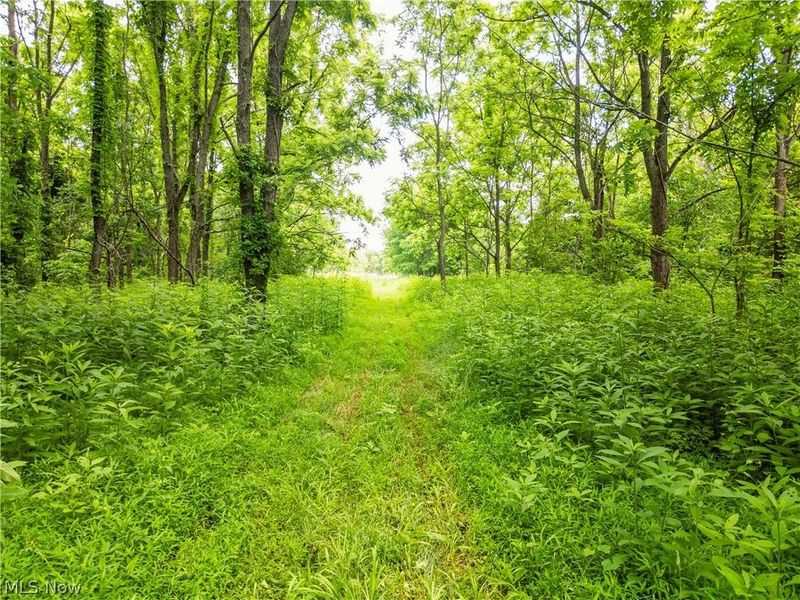 Taylor Road , Cambridge, OH 43725 Photo 37