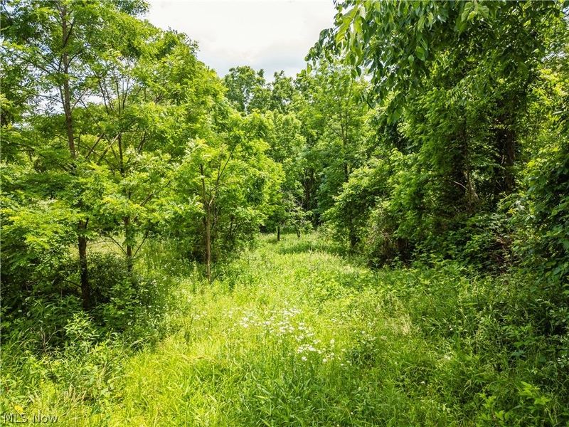 Taylor Road, Cambridge, OH 43725 Photo 48