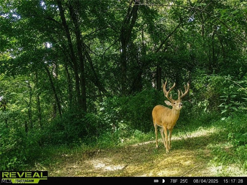 Taylor Road, Cambridge, OH 43725 Photo 9