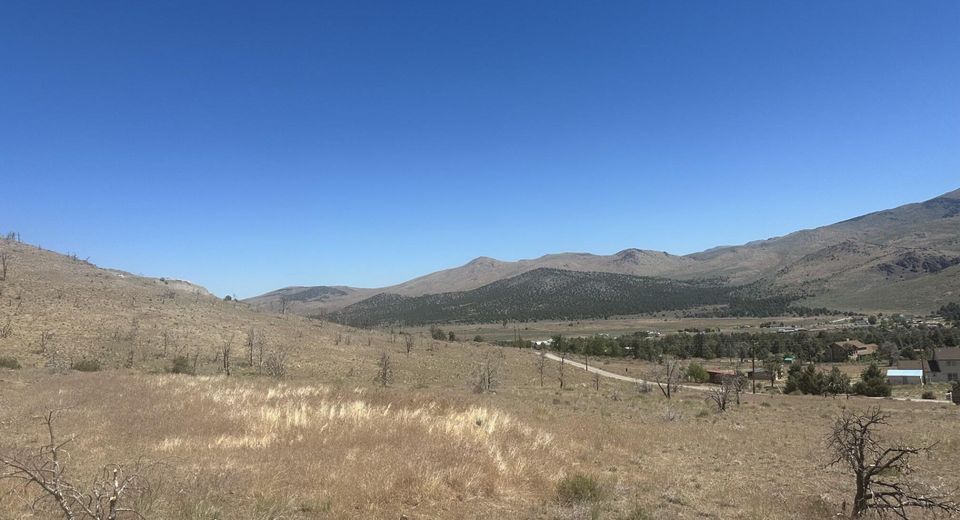 930 Cavelti Road, Gardnerville, NV 89410 Photo