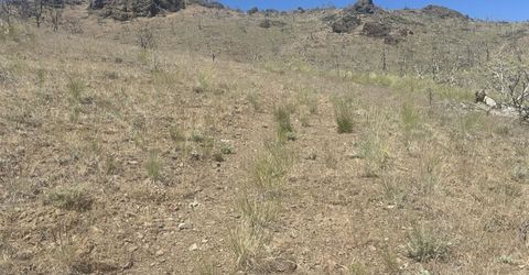 930 Cavelti Road, Gardnerville, NV 89410 Photo