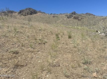 930 Cavelti Road, Gardnerville, NV 89410 Photo