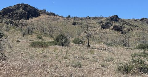 930 Cavelti Road, Gardnerville, NV 89410 Photo