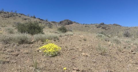 930 Cavelti Road, Gardnerville, NV 89410 Photo