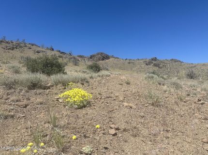 930 Cavelti Road, Gardnerville, NV 89410 Photo