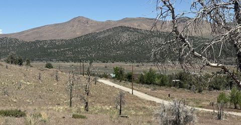 930 Cavelti Road, Gardnerville, NV 89410 Photo
