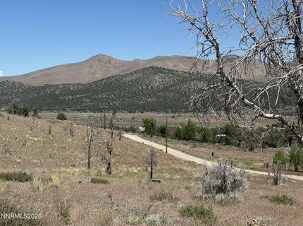 930 Cavelti Road, Gardnerville, NV 89410 Photo