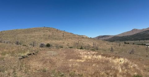 930 Cavelti Road, Gardnerville, NV 89410 Photo