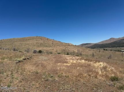 930 Cavelti Road, Gardnerville, NV 89410 Photo