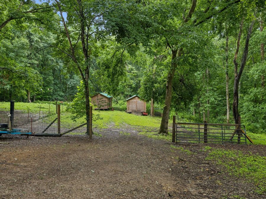 Property Image 29