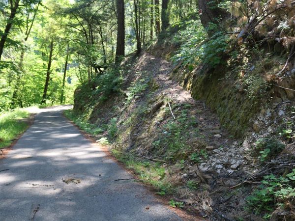 543 Main, Downieville, CA 95936