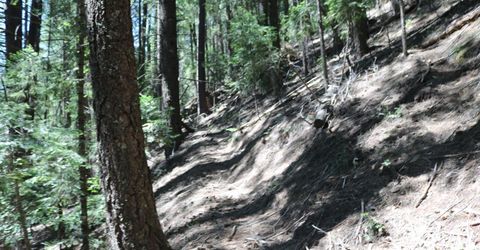 543 Main, Downieville, CA 95936 Photo