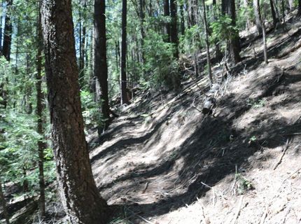543 Main, Downieville, CA 95936 Photo
