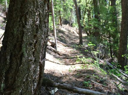 543 Main, Downieville, CA 95936 Photo