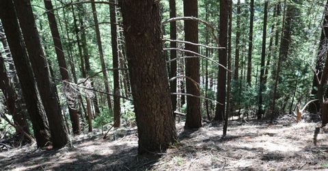543 Main, Downieville, CA 95936 Photo