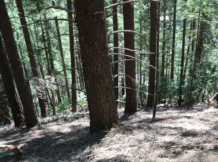543 Main, Downieville, CA 95936 Photo