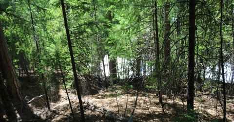 543 Main, Downieville, CA 95936 Photo